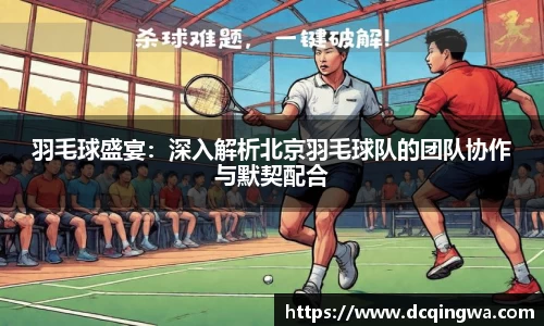 羽毛球盛宴：深入解析北京羽毛球队的团队协作与默契配合